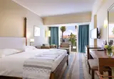 Alexander The Great Beach Hotel foto 22