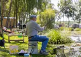 Camping Papillon Kinrooi foto 10