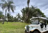 Kololi Beach foto 25