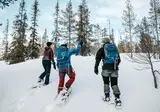 4 daagse excursiereis Lapland Hotel Ylläskaltio foto 3