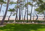 Lime Playa de Alcudia foto 4