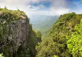 A Wildlife Adventure in South Africa foto 2