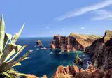 8 daagse fly drive Schilderachtig Madeira foto 3