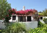 Pedras D'el Rei foto 3