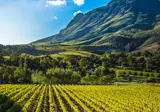 The Ultimate South Africa Experience foto 3