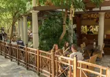 Center Parcs Bispinger Heide foto 20