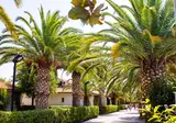 Villaggio Lido d'Abruzzo foto 6