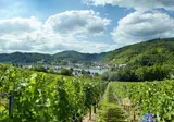 Ringhotel Bömers Mosel Landhotel foto 21