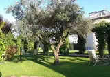 Hotel Aurelia foto 24