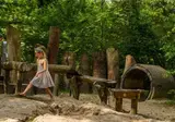 Camping Diever foto 6