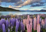 A Journey through the national parks of New Zealand foto 6