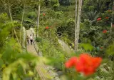 Padma Resort Ubud foto 7