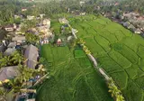 Wapa di Ume foto 17