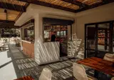 Hotel Cook's Club Ialyssos - adults only foto 14