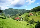 Hotel Grüner Hof foto 10