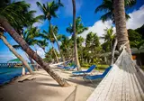 Coco de Mer & Black Parrot Suites foto 3
