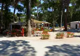 Etruria Camping Village foto 27