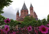 Fietscruise Rijn en Moezel, Koblenz - Koblenz foto 9