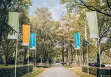 Landgoed Het Grote Zand foto 6