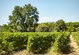 Le Domaine De Massereau foto 24