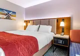Comfort Inn JFK Airport foto 10