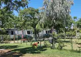 Duca Amedeo Camping Village foto 12
