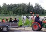 Vodatent Boerderijcamping de Hinde foto 2