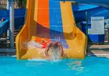 Grand Bahama Beach foto 17