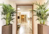 Palm Suites foto 27