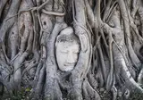 Explore Tropical Thailand foto 3