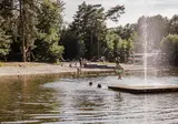 De Baalse Hei foto 1