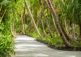 Dusit Thani Maldives foto 4