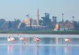 Hotel Indigo Larnaca foto 26