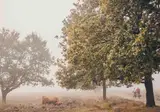 Landgoed Het Grote Zand foto 20
