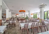 Aleksandar foto 11