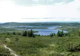 Fjorden, Gletsjers en Dalen foto 27