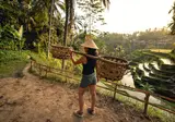 Bali in stijl foto 6