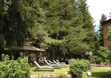 Albergo Il Picchio foto 29