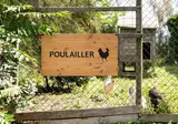 La Côte Sauvage foto 24