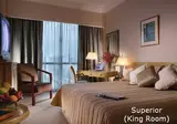 Grand Copthorne Waterfront Singapore foto 2