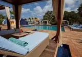 Divi Flamingo Beach Resort & Casino foto 13