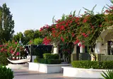 Mitsis Rodos Maris foto 22