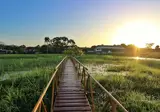10 daagse reis a taste of Suriname foto 1