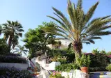 Hotel Paradiso Terme Resort & Spa foto 16