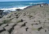 Ierland, 40 tinten groen foto 21