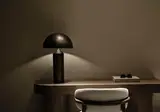 Andronis Concept Wellness Resort foto 20