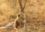 The Ultimate South Africa Experience foto 6