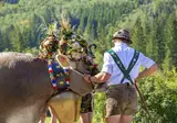 Appartementen Resort Tirol Brixen am Sonnenplateau foto 15