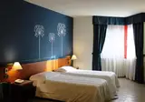 Domus Grand Hotel foto 3