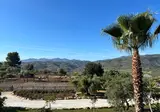 Finca del Silencio foto 5